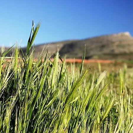 Tres Navios En El Mar De 10 Con Bano Individual Precios Web Vakantiehuis Montejo de Tiermes