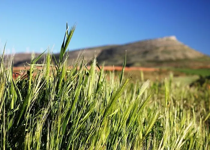 Tres Navios En El Mar De 10 Con Bano Individual Precios Web Ferienhaus Montejo de Tiermes